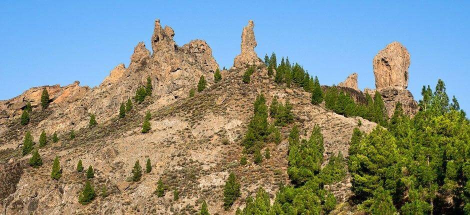 Roque Nublo + stier på Gran Canaria