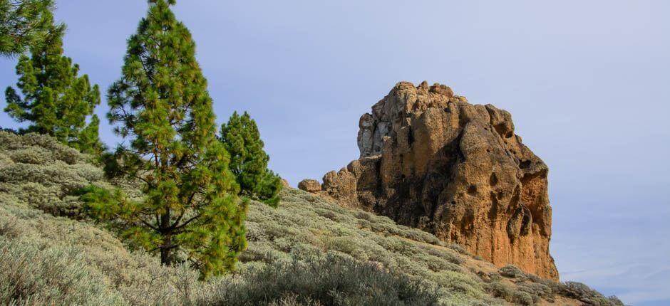 Roque Saucillo + Stjernekikking på Gran Canaria