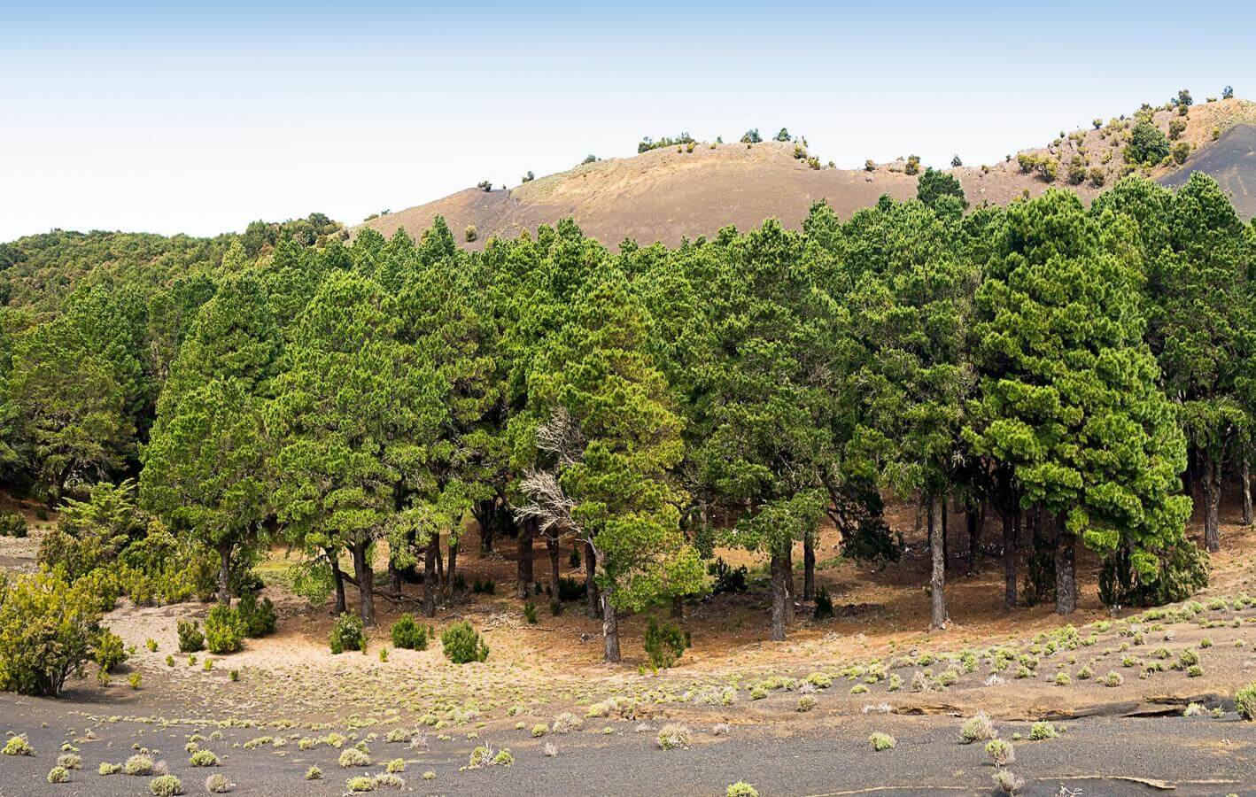 La Llanía Senderos en El Hierro