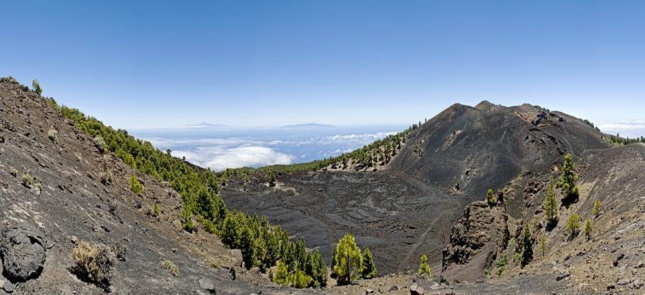 Ruta de los Volcanes + stier på La Palma  