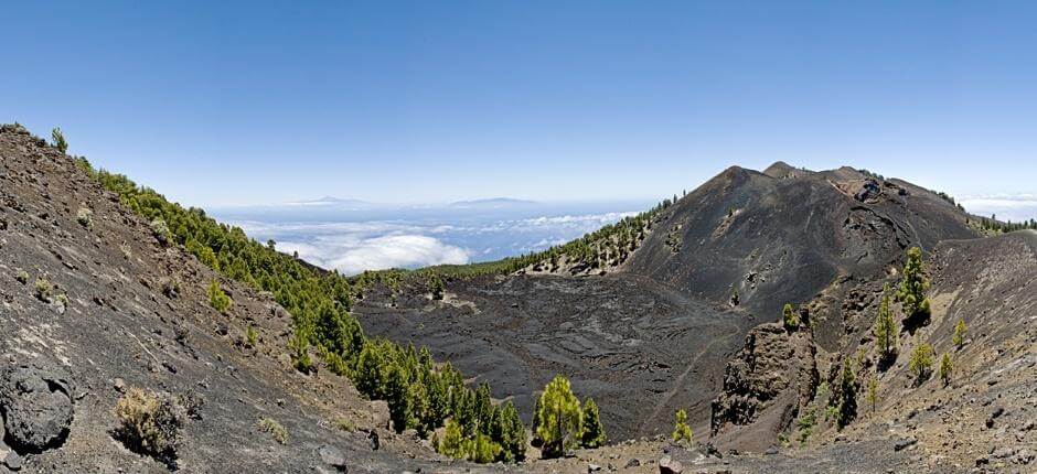 Ruta de los Volcanes + stier på La Palma