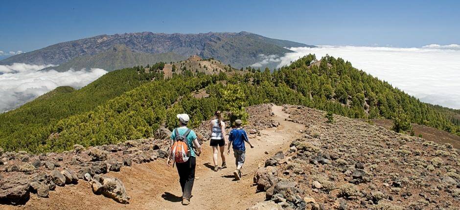 Ruta de los Volcanes + stier på La Palma  