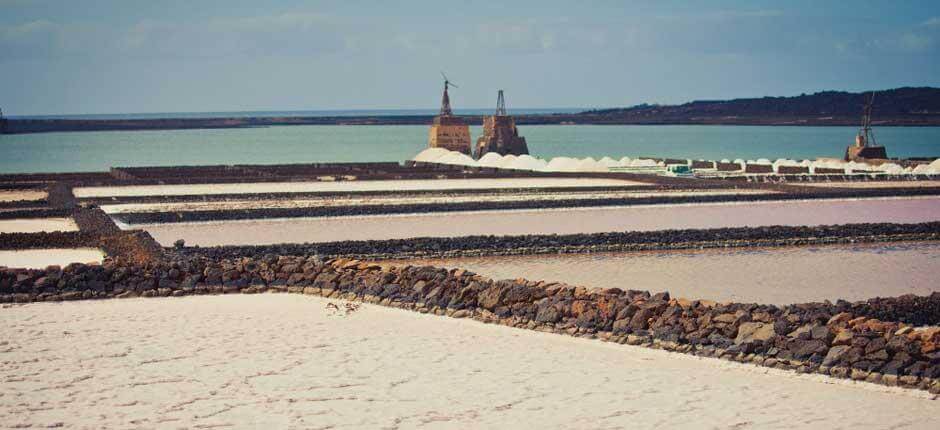 Salinas de Janubio på Lanzarote