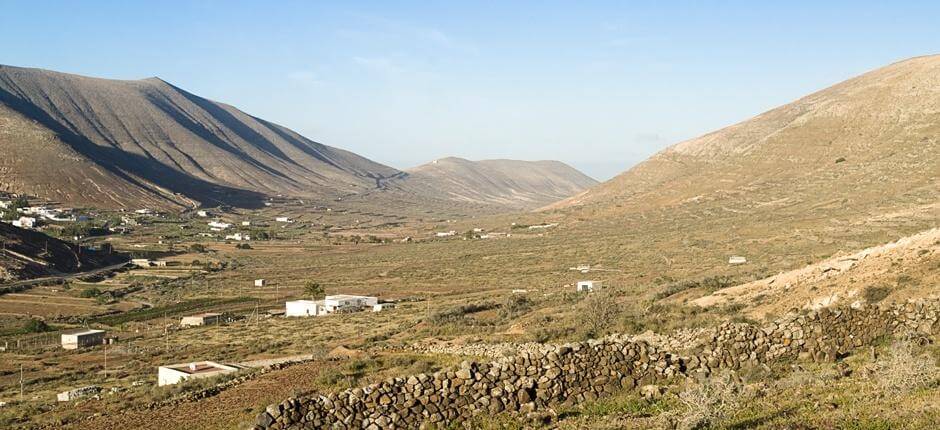 Vallebrón + stier på Fuerteventura